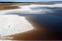 Salt shore, Lake Hart playa, Australia