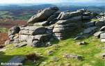 Tor formation in granite, Dartmoor.