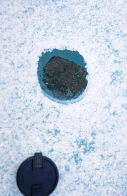 A fragile fusion-crust coated specimen of Tagish Lake. Courtesy, Alan Hildebrand, University of Calgary & Peter Brown, University of Western Ontario http://aquarid.physics.uwo.ca/~pbrown/tagish/
