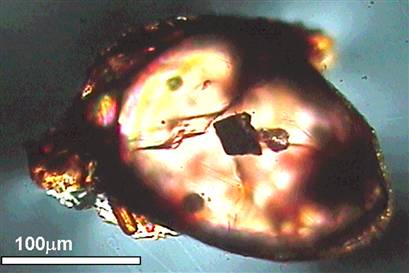 A transmission light image of Jack Hills zircons from Australia shows an angular diamond inclusion. Martina Menneken