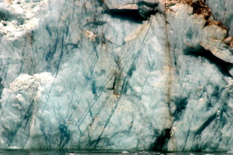 The calving front of a south Greenland outlet glacier, Kangersuneq qingordleq, showing an extensive network of vertically orientated relict meltwater pathways and cavities.