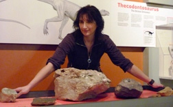 Judyth Sassoon, an MSc student at Bristol, leans over the exhibit of the Bristol Dinosaur. Phot: Ian Randall