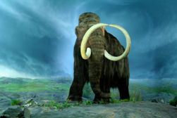 Mammoth killer impact? Not likely, say scientists.