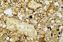Thin section of Stac Fada suevite, in plane polarised light.