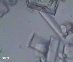 Cooling rate and grain size