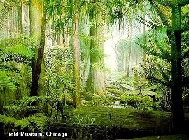 Forest reconstruction