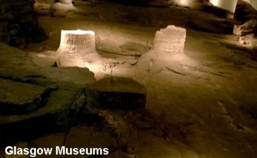 Fossil tree stumps, Glasgow