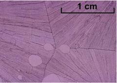 Salol cooled slowly – large crystals