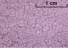 Salol cooled rapidly – small crystals