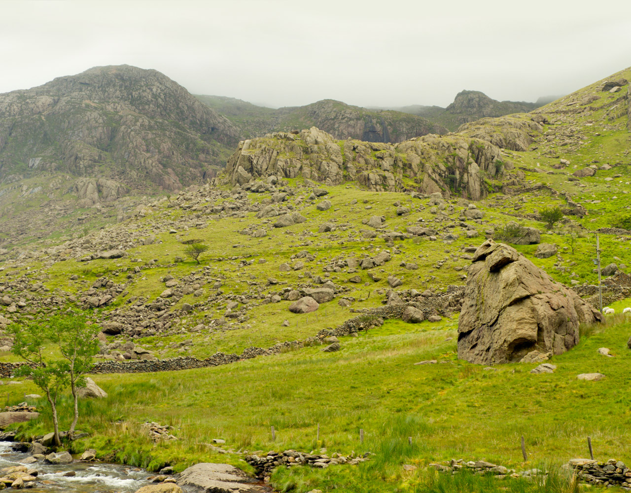 The Geological Society