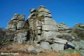 Dartmoor Granite