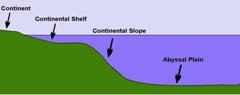 Cross section of Continental Shelf