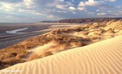 Sand dunes on a Welsh beach.
