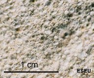 Oolitic limestone close up