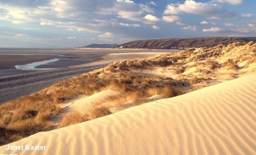 Sand dunes near Borth, Wales