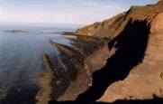 Mudstone cliffs on the Yorkshire coast