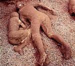 Victims of pyroclastic flow (citizens of the Roman cities of Pompeii)