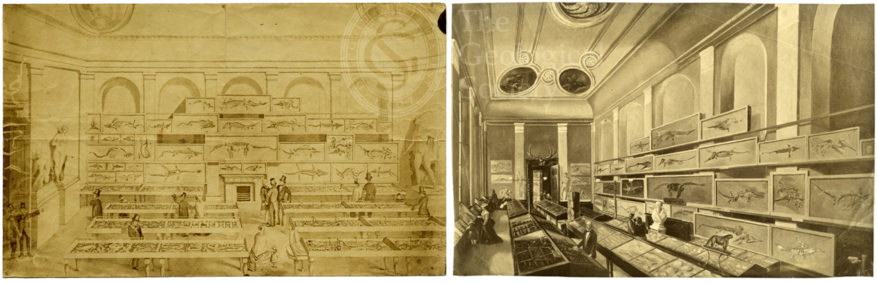 Images of the interior of Charles Moore's Free Museum