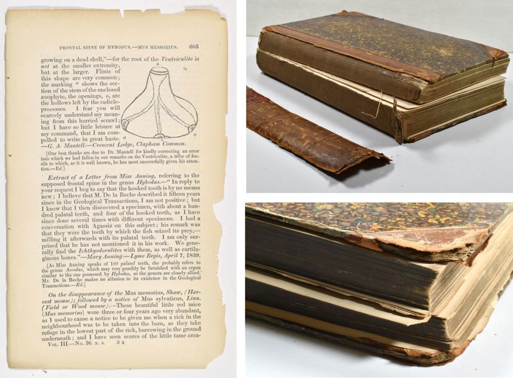 Magazine of Nat Hist Compilation