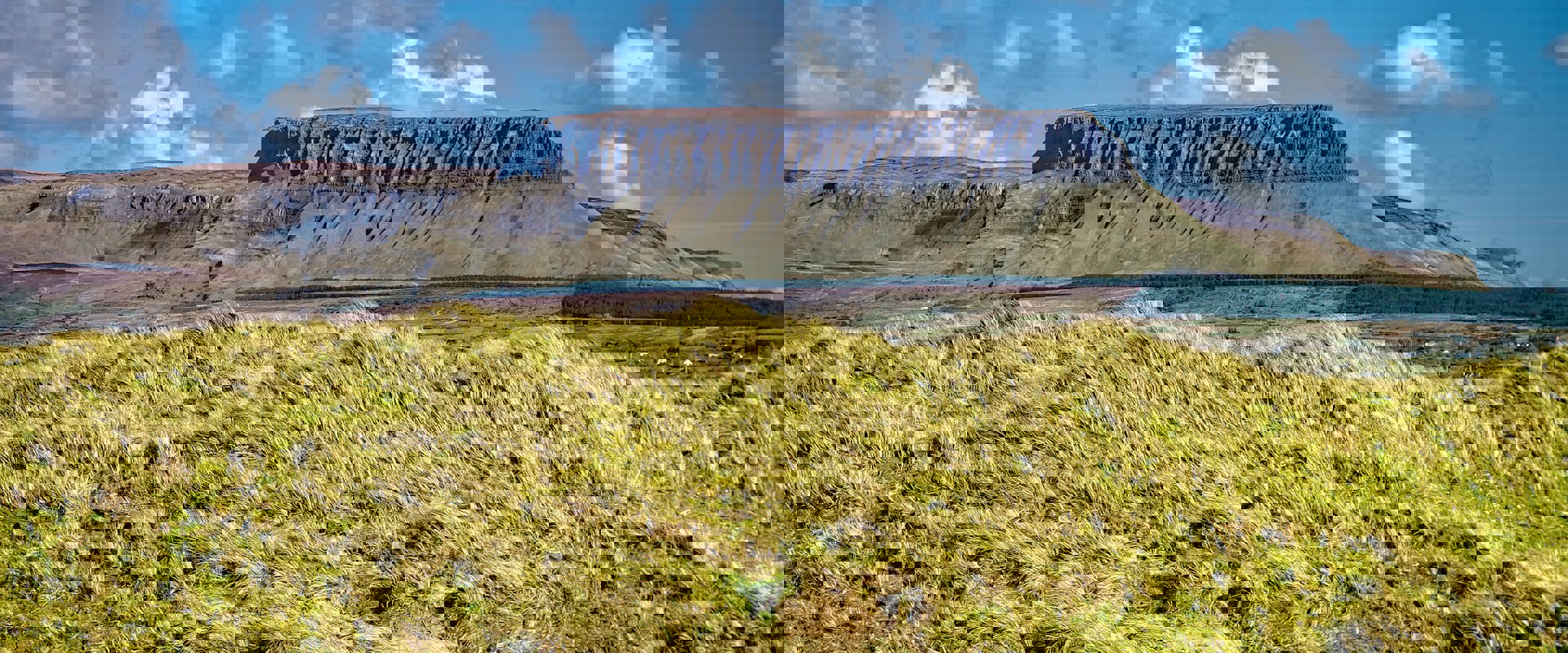 flat topped mountain with grass in front