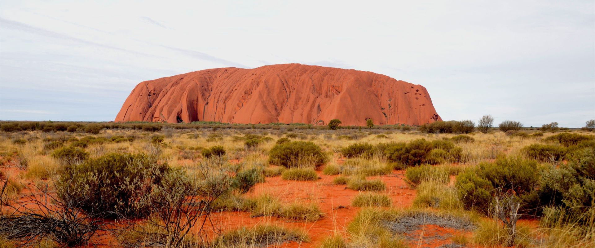 Scenic view of Uluru rock formation set in the arid Australian Outback landscape under cloudy skies