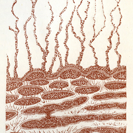 Eozoon Canadense (1875)