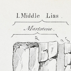 Geological Section of Ilminster Section, Proc Som Arch 13