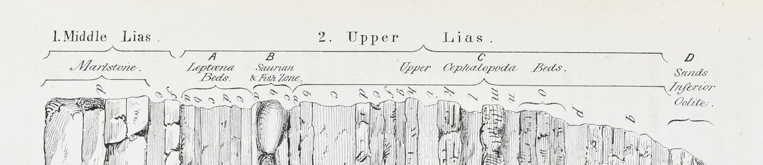 Geological Section of Ilminster Section, Proc Som Arch 13