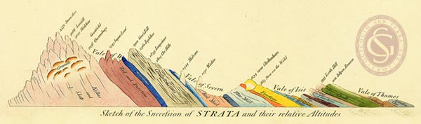 Sectiononly 600dpi copy.jpg