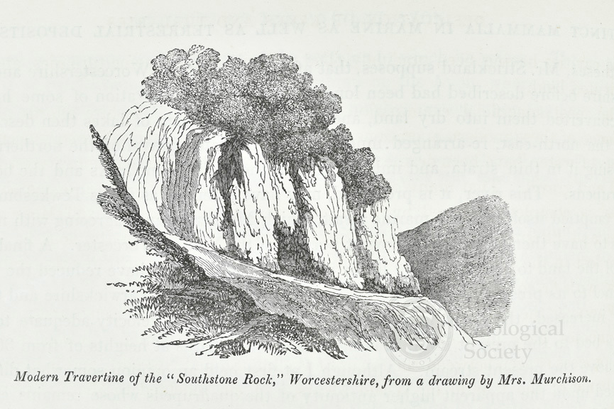 Wood Engraving of Modern Travertine from Silurian System (1839)
