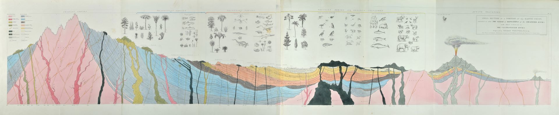 Section from William Buckland's Bridgwater Treatise