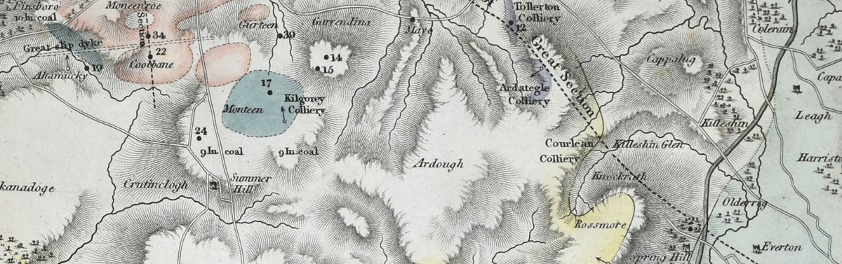 Detail of Richard Griffith's map of Leinster 
