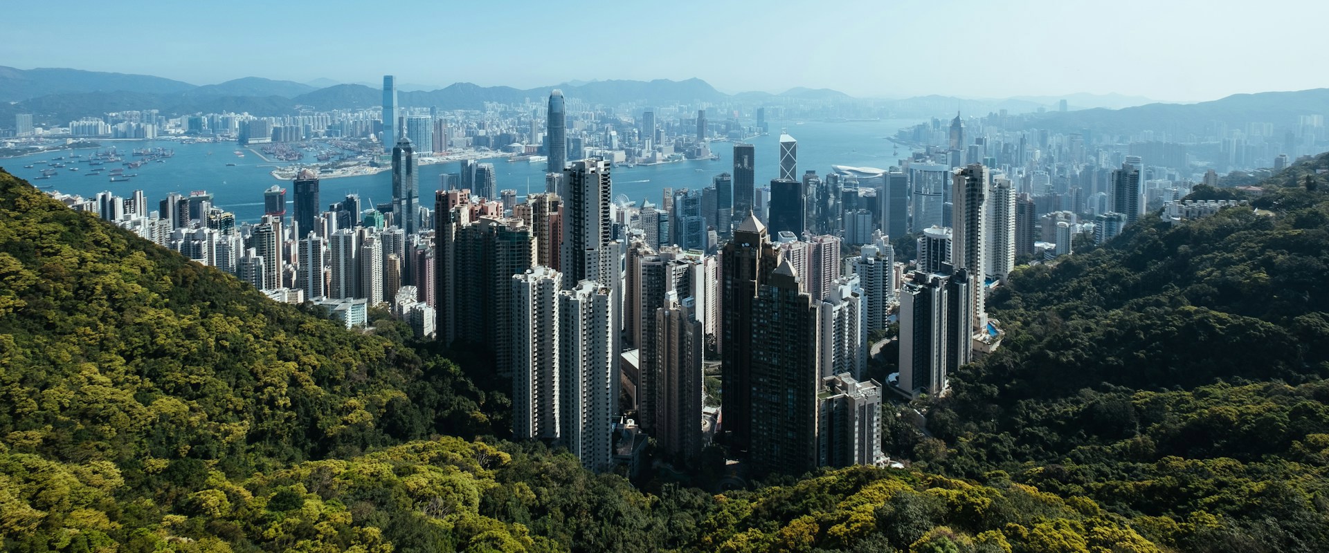 view from the green mountains overlooking hong kong with skyscrapers and the sea