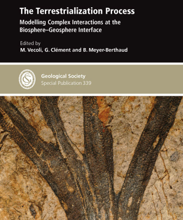 Terrestrial Interfaces The Terrestrialization Process: Modelling Complex Interactions at the ...
