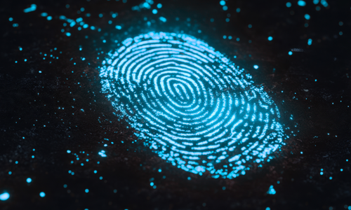 CSI Geoscience Banner Image