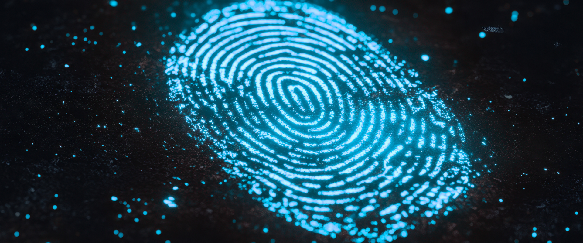 CSI Geoscience Banner Image