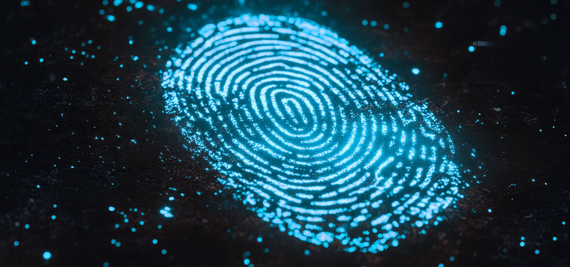 CSI Geoscience Banner Image