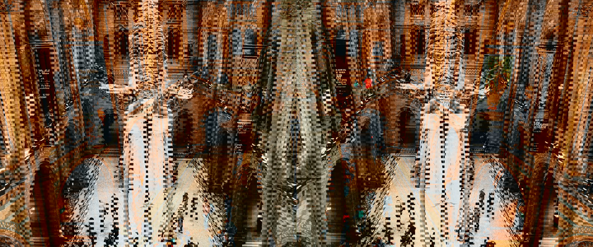 interior hall of the natural history museum with a giant dinosaur skeleton hung from the ceiling