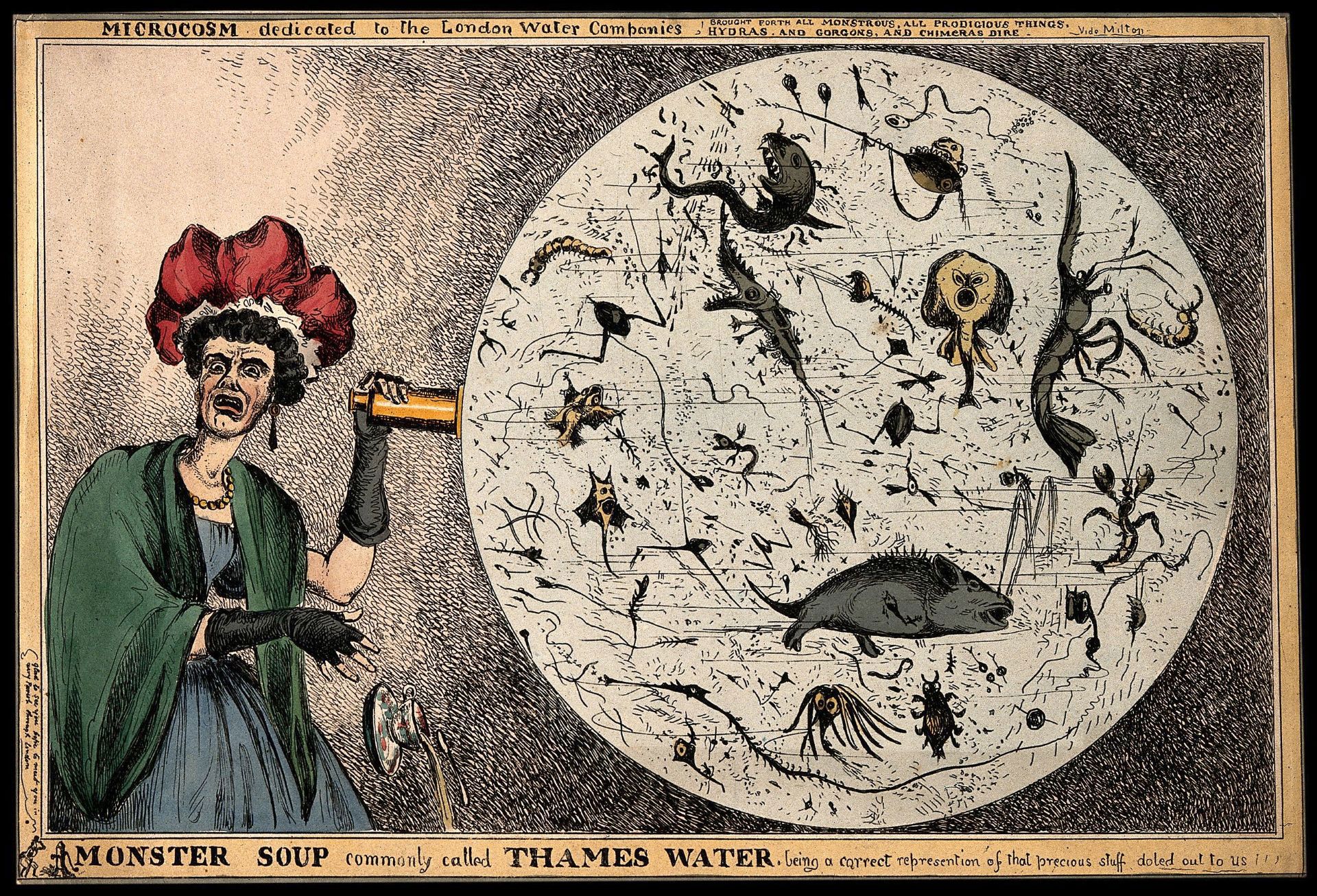 Satirical cartoon 'Monster Soup' by William Heath (1828). Wellcome Trust