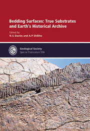 Cover Bedding Surfaces: True Substrates and Earth's Historical Archive