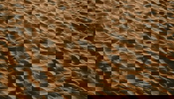 Sand on a beach with the sunlight highlighting its ripples