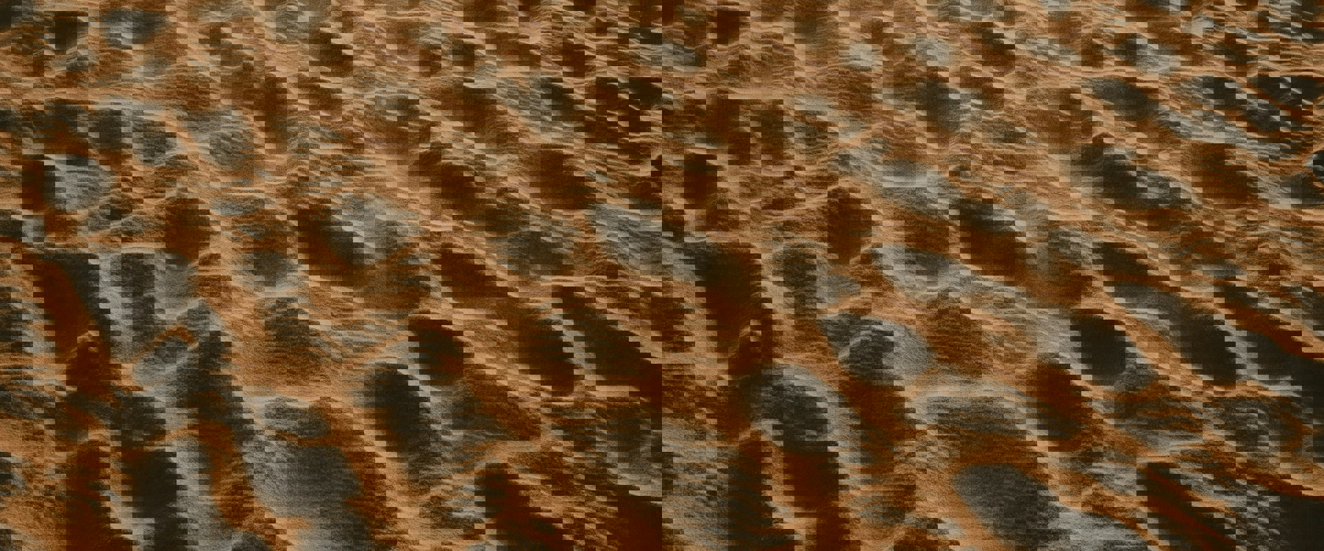 Sand on a beach with the sunlight highlighting its ripples