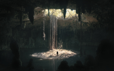 A person stands inside a sunlit cenote with stalactites and roots hanging