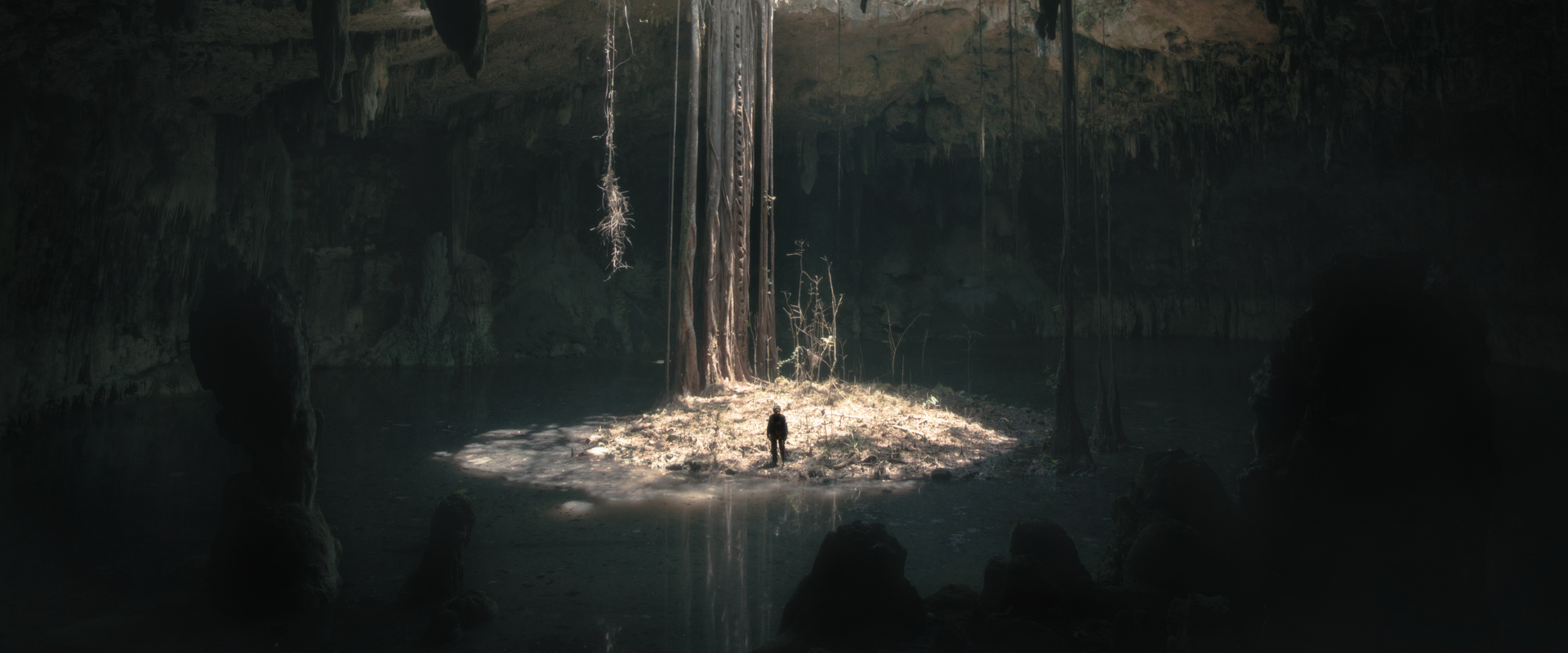 A person stands inside a sunlit cenote with stalactites and roots hanging