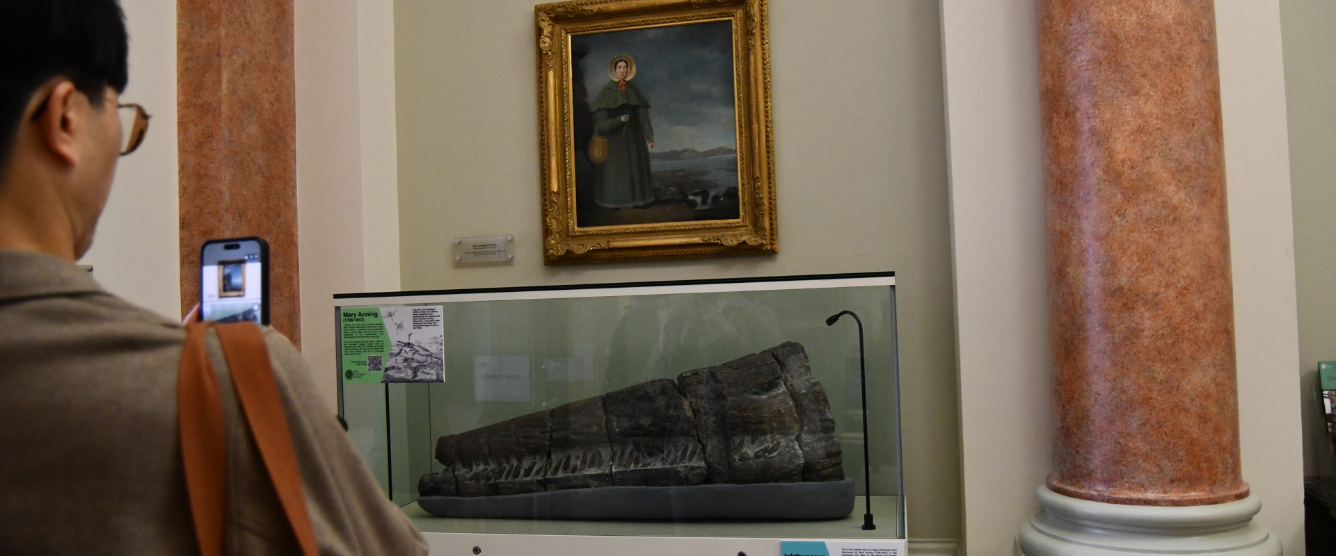 a large fossil encased in a glass box with a portrait of a woman on the wall behind it. a man is looking at the fossil