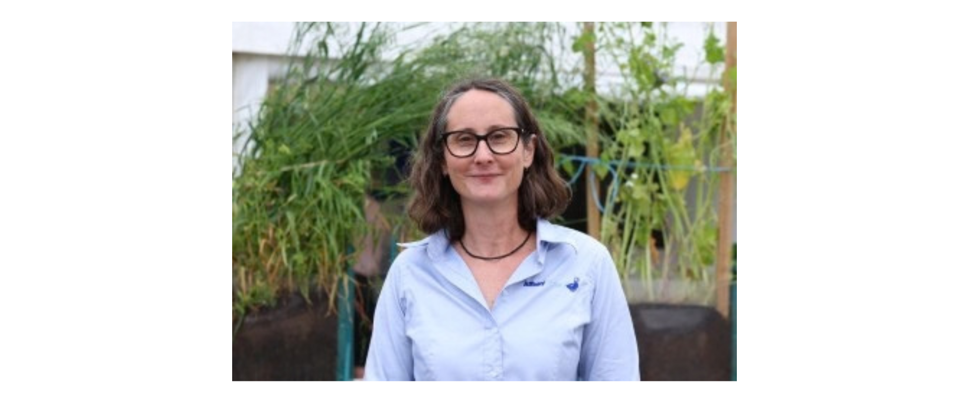 Head-and-shoulders portrait of a person wearing dark-framed glasses and a light blue buttoned shirt, standing in front of tall green plants in what appears to be a greenhouse or garden setting. The background is softly blurred, with leafy vegetation and plant supports visible behind the person. Natural daylight illuminates the scene.