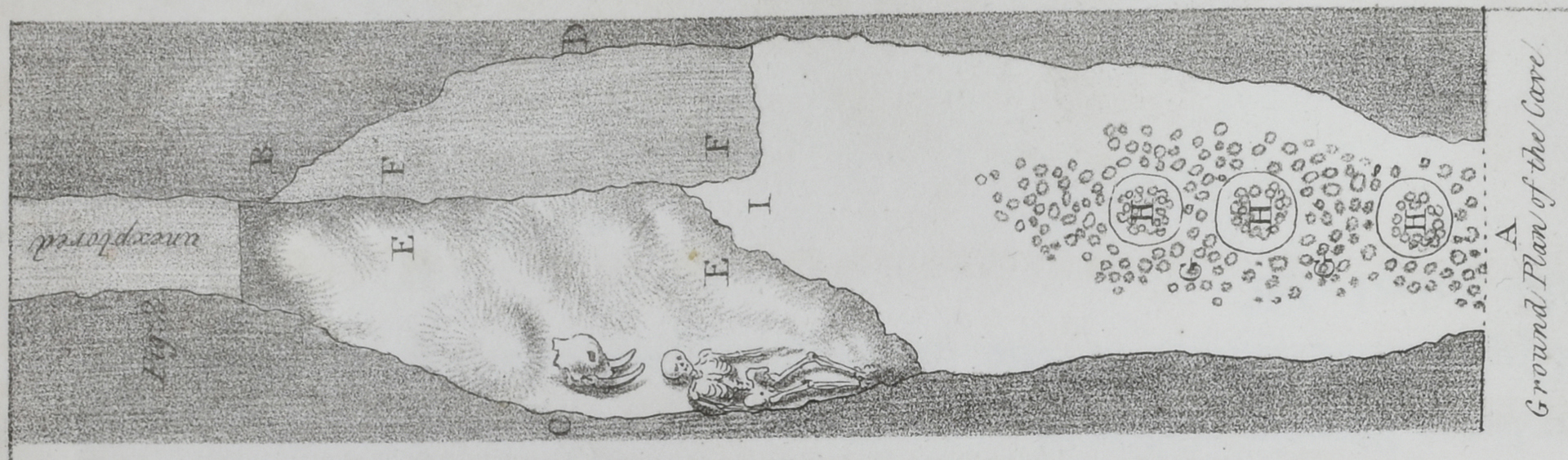 Section of the Paviland Cave showing the skeleton