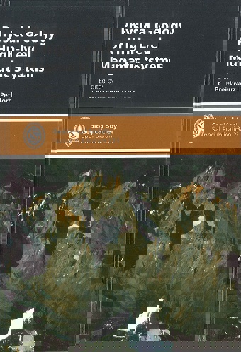 Cover Image Physical Geology of High-Level Magmatic Systems