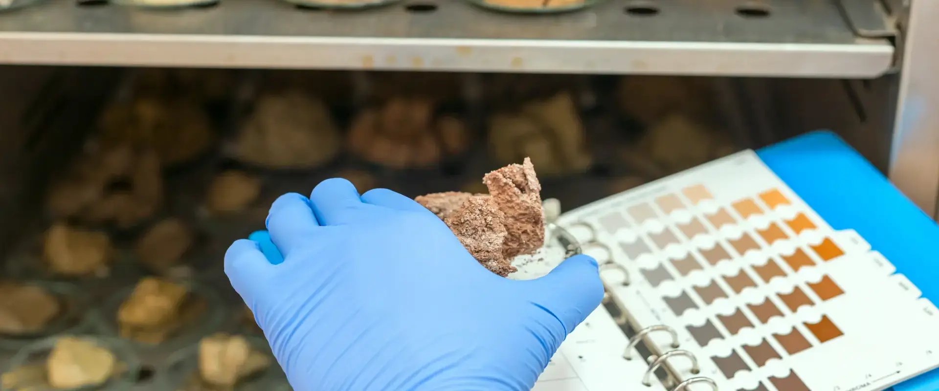 person with blue lab gloves handling rock samples