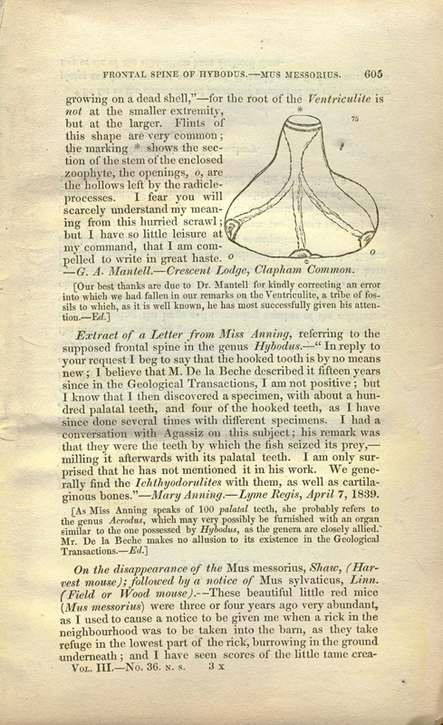 Article "On the supposed frontal spines of the genus Hybodus" (1839)